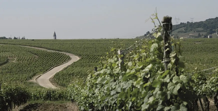 Paris and Burgundy Wines Multi City Vacation