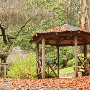 Dandenong Ranges