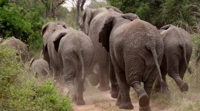 Sanbona Wildlife Reserve