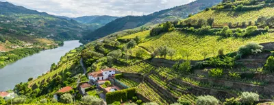 Douro Valley