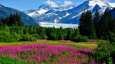 Juneau Pre or Post Cruise