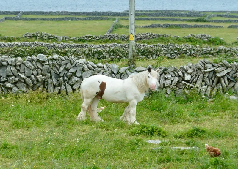 Aran Islands 