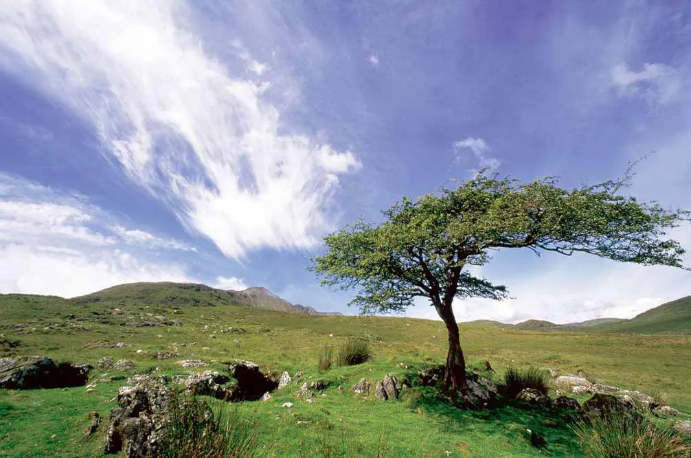 Panoramic Ireland Tour